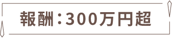 報酬300万円超